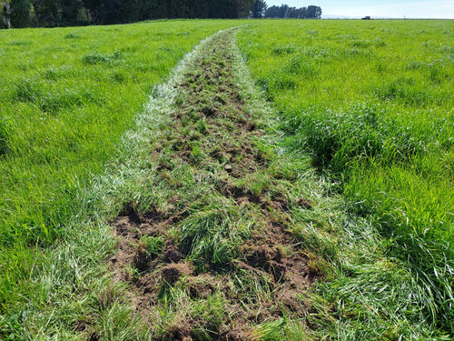 RUTS PLUS – Ruts Plus